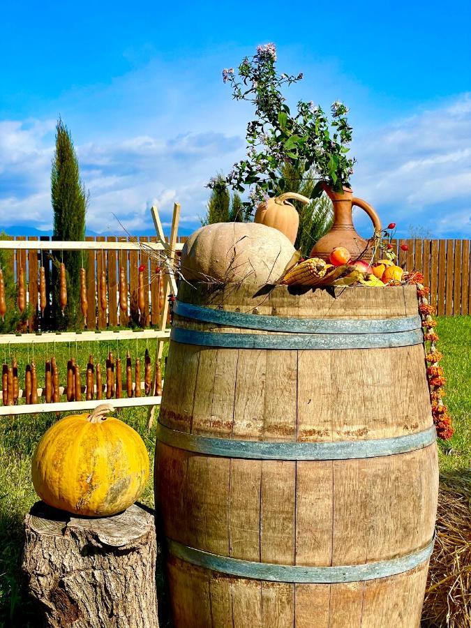 The Wine Hotel Telavi Exterior photo